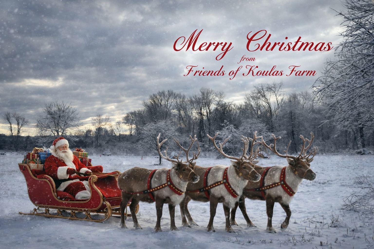 Christmas at Koulas Merry Christmas from the Firens of Koulas Farm