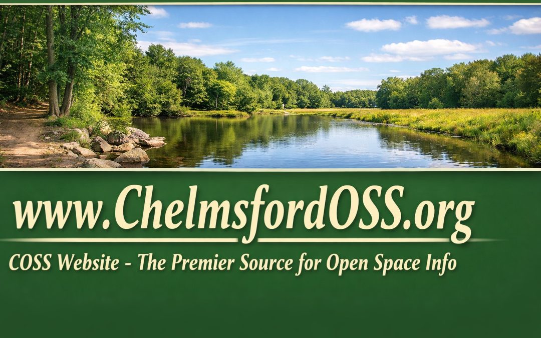 Accessibility statement for chelmsfordoss.org