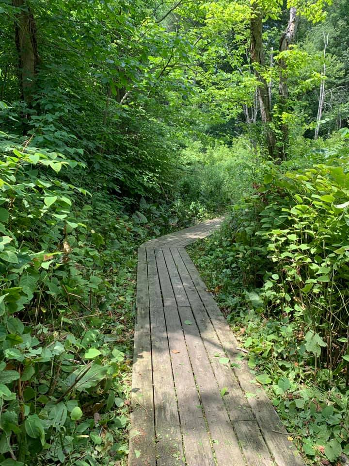 Crooked Springs Old Walkway