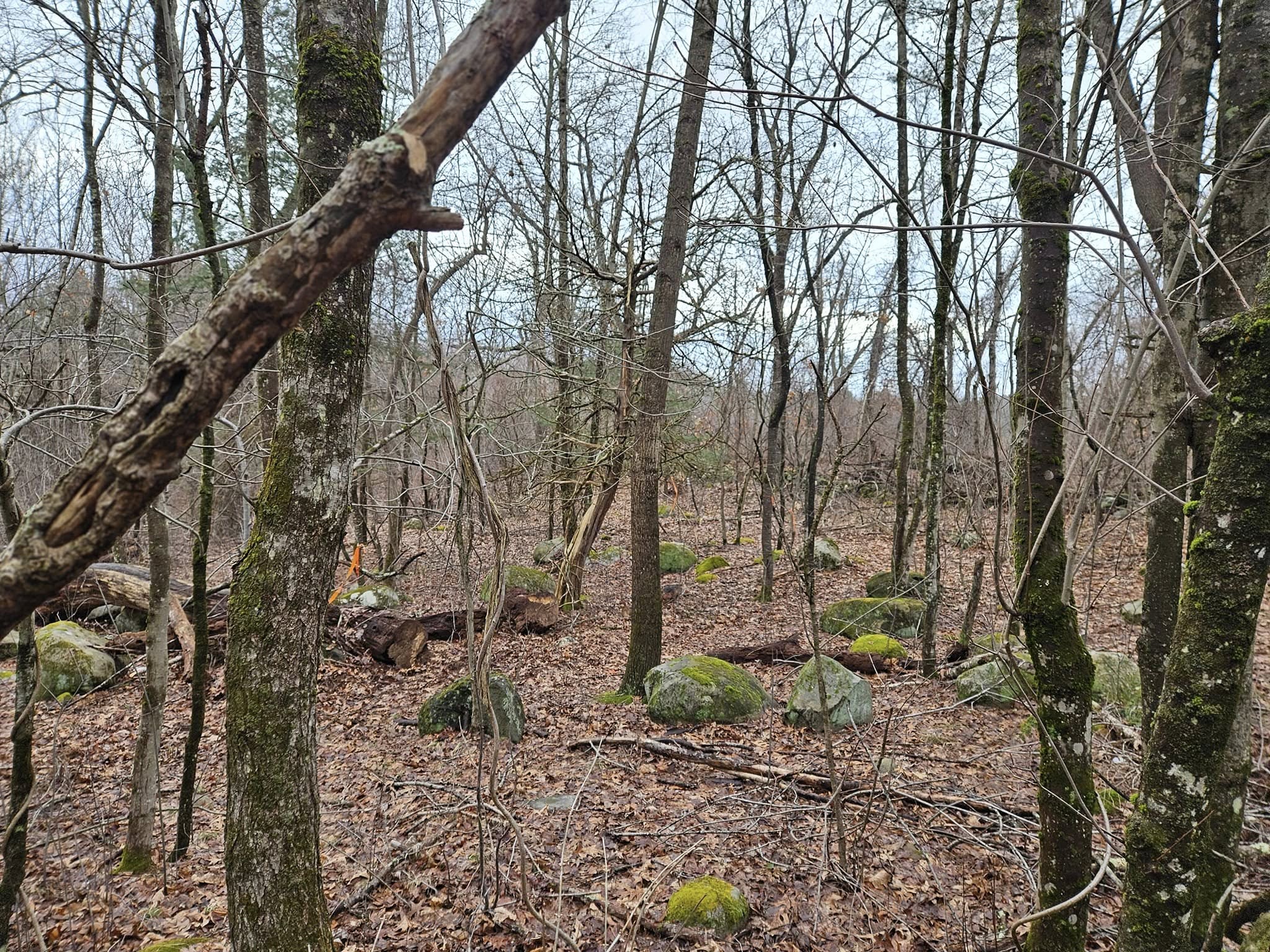 Gathering Rocks photo