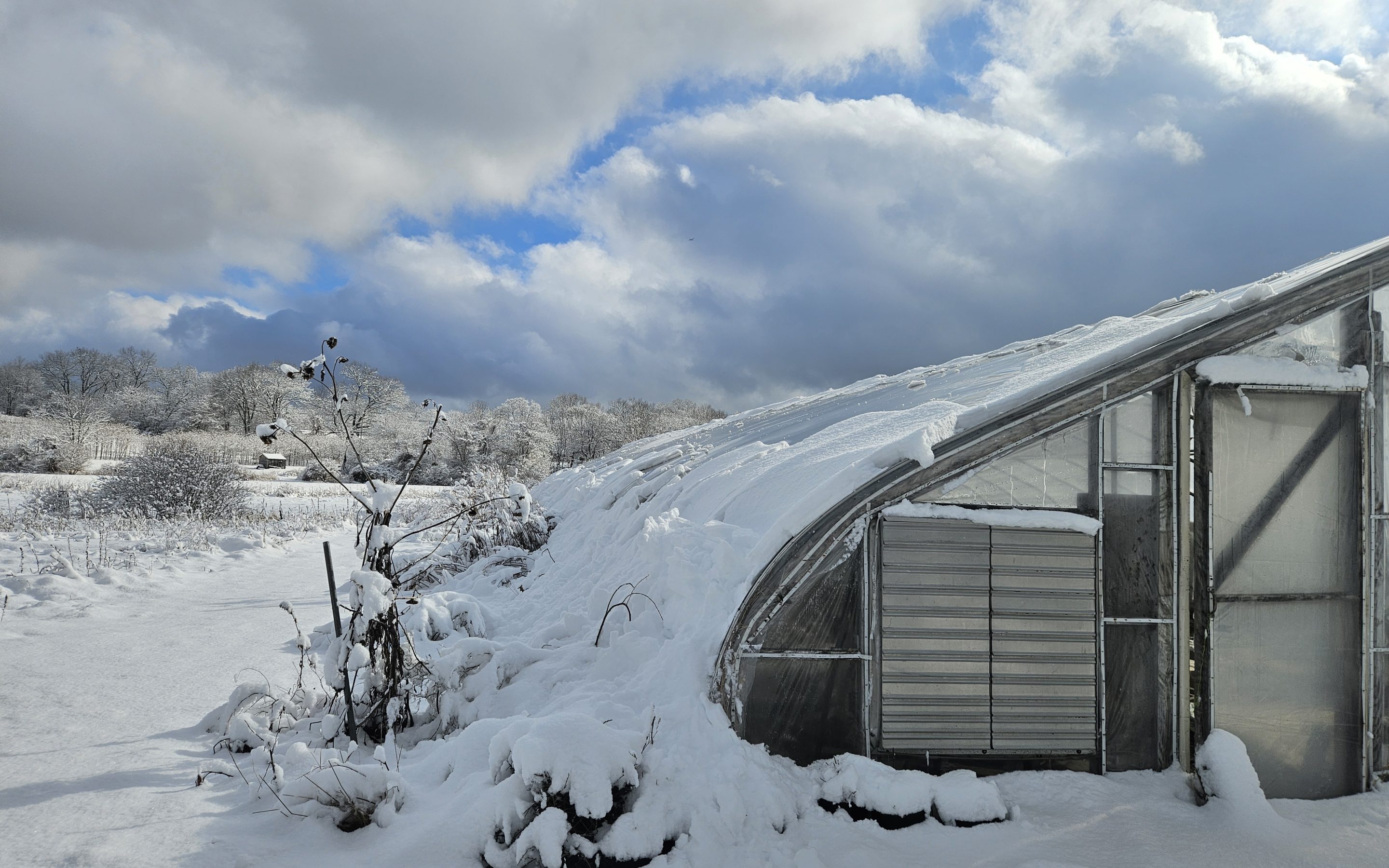 The Greenhouses will not fall.