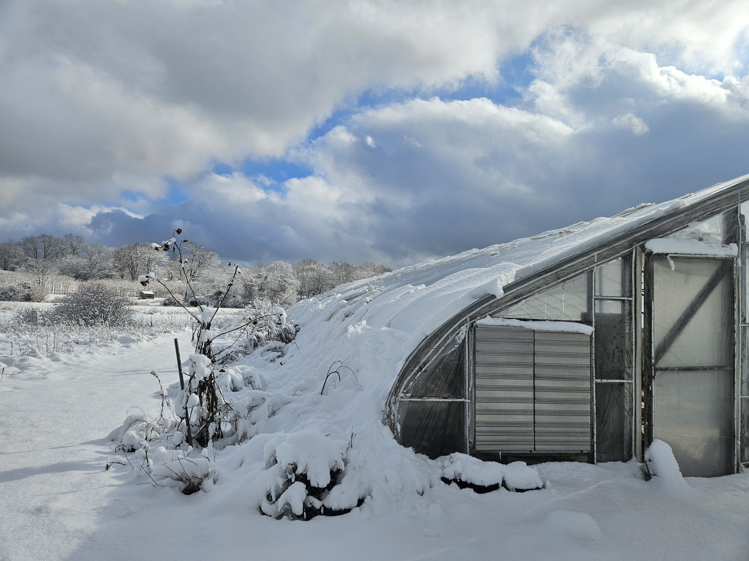 Greenhouse SunnyMeadow