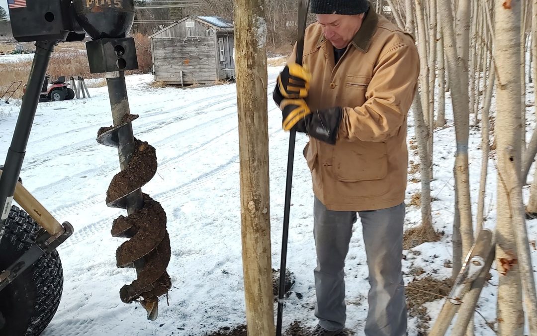 Waiting to Greet a Sap!