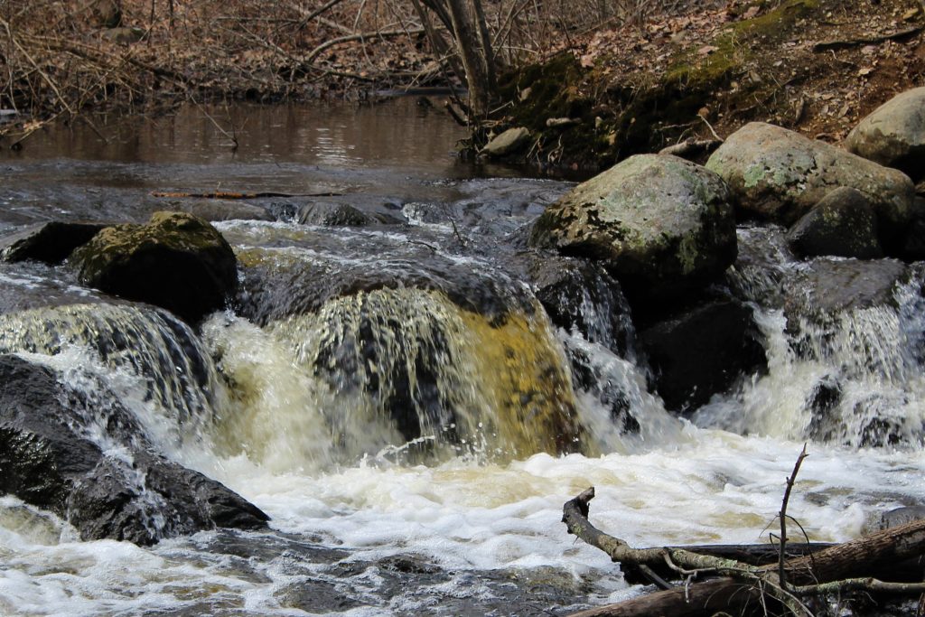 Waterfall in the Woodlot