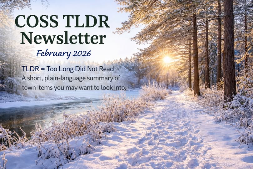 TLDR Feb 2026