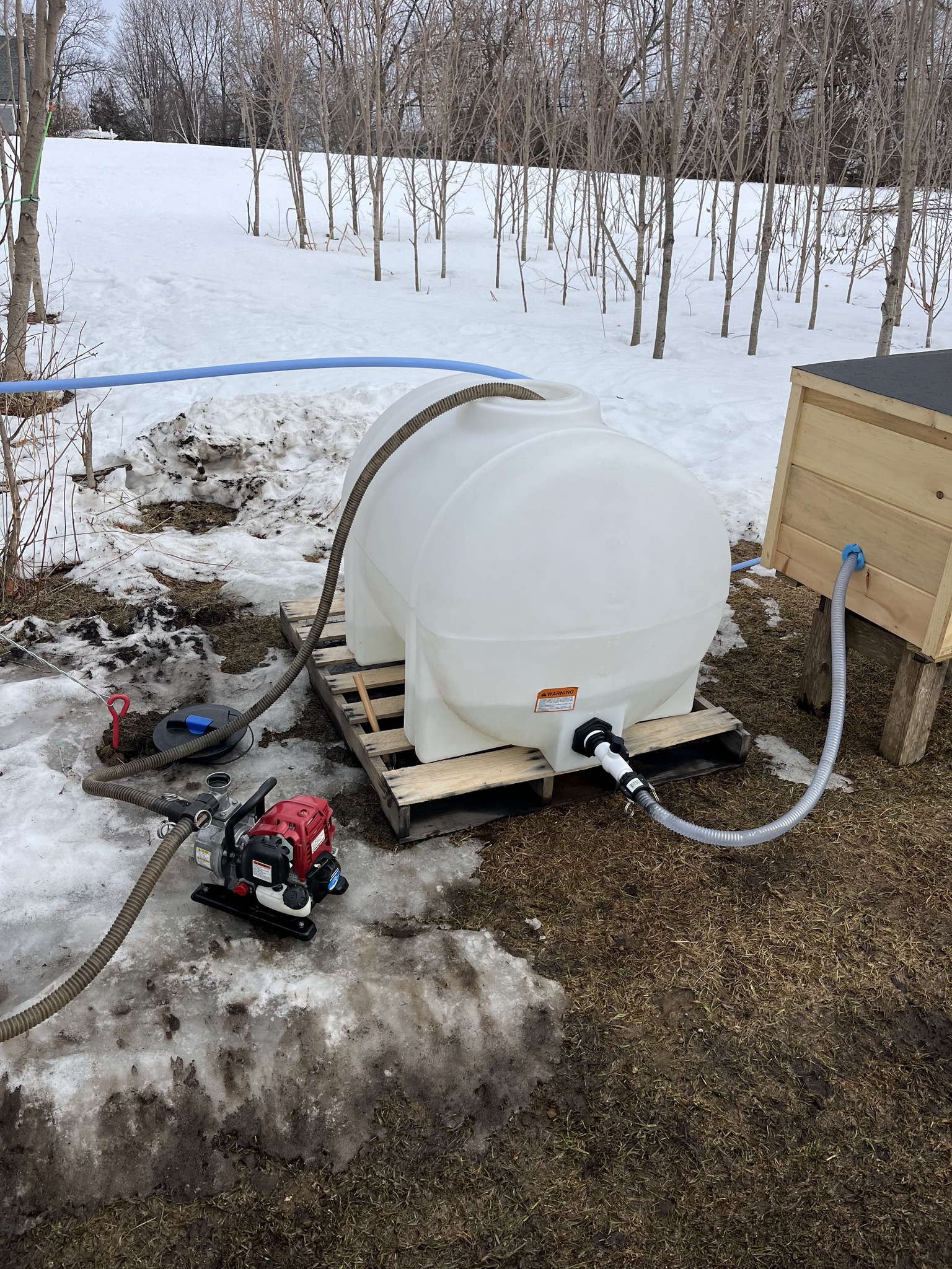 Sap is running