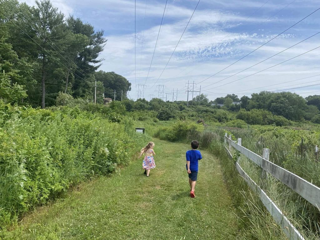 Storybook trail