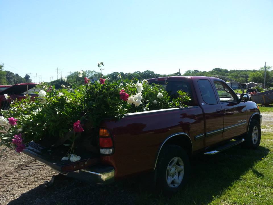great plant move