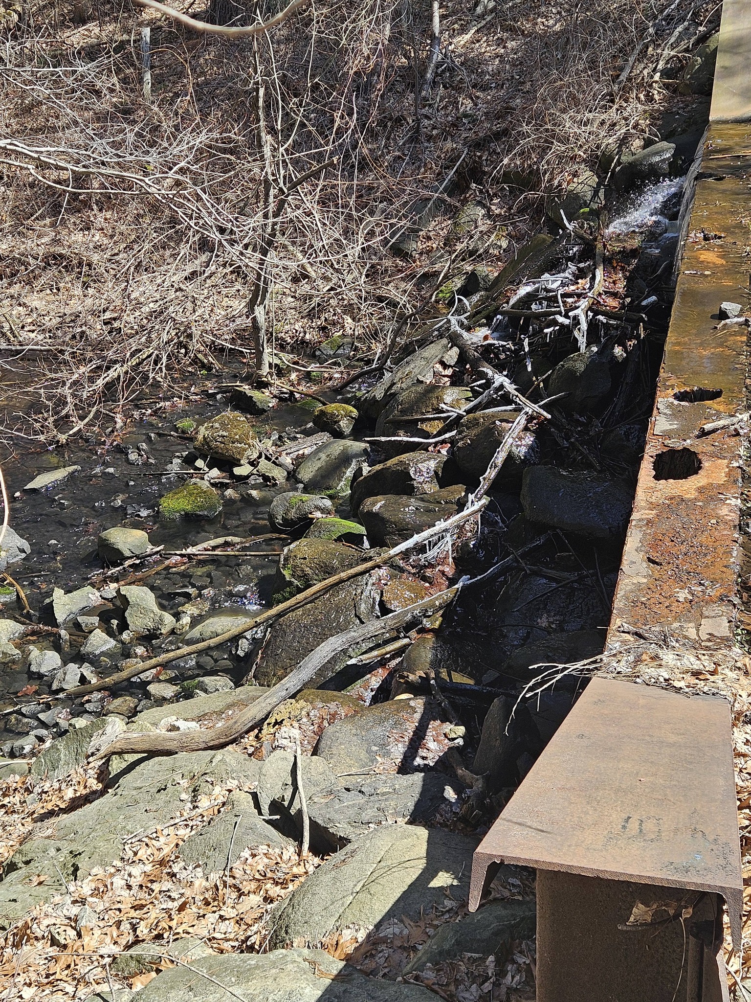 Crooked springs dam