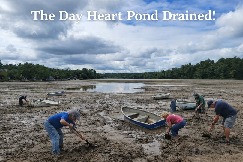Day Heart pond Drained
