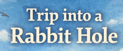 Down a rabbit Hole
