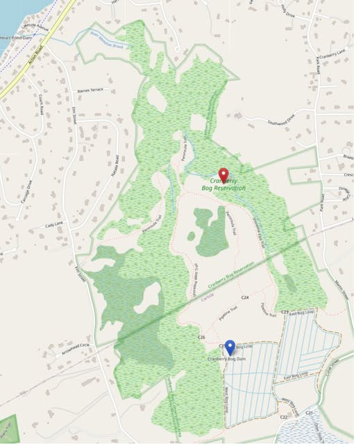 Bog Trail Overview