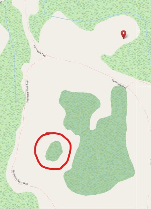 Is this a vernal pool?