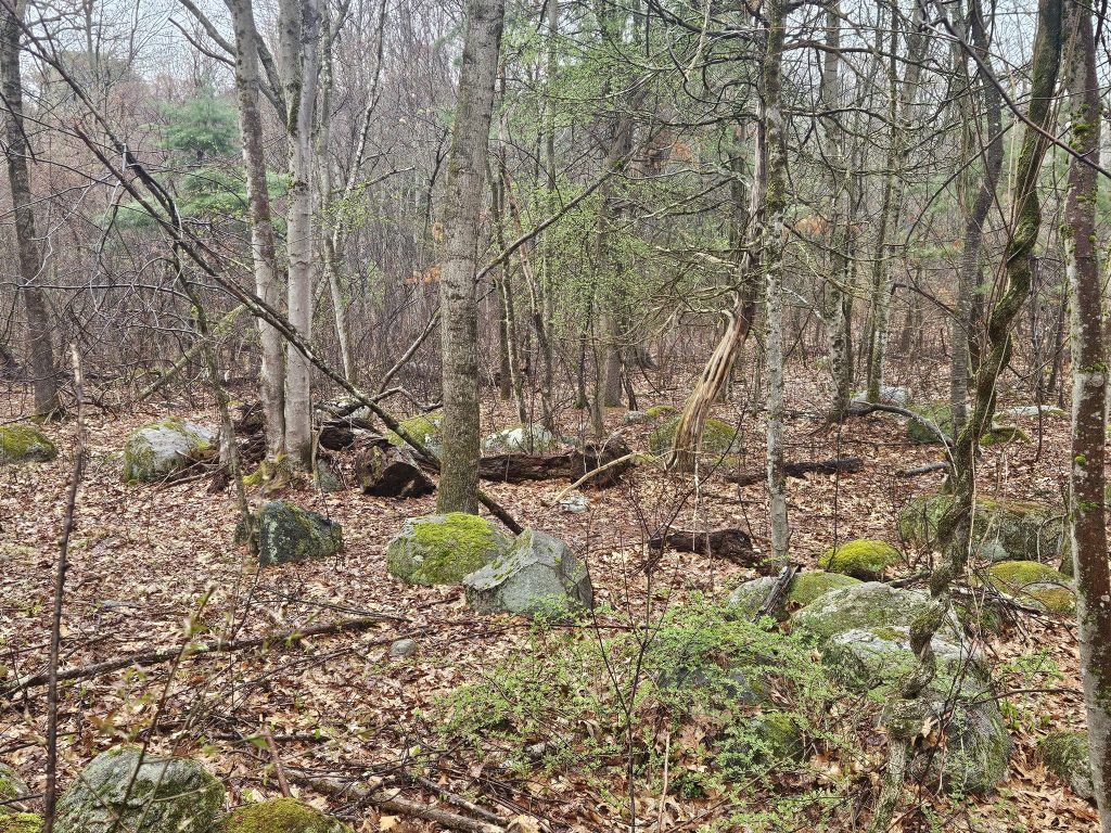 Gathering rocks