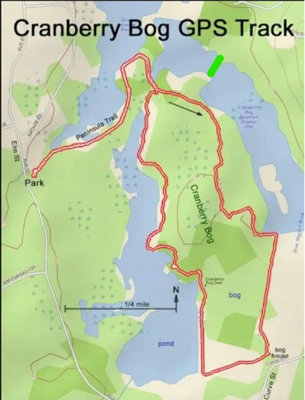 hiostory of Bog dams