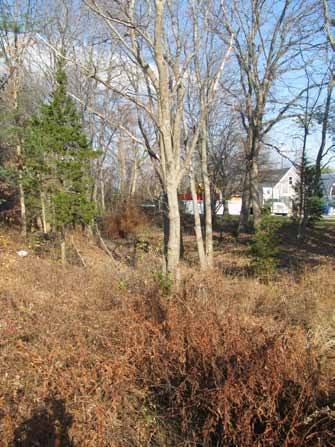 East Chelmsford