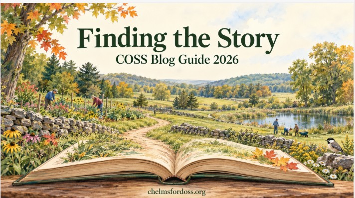 Finding the story